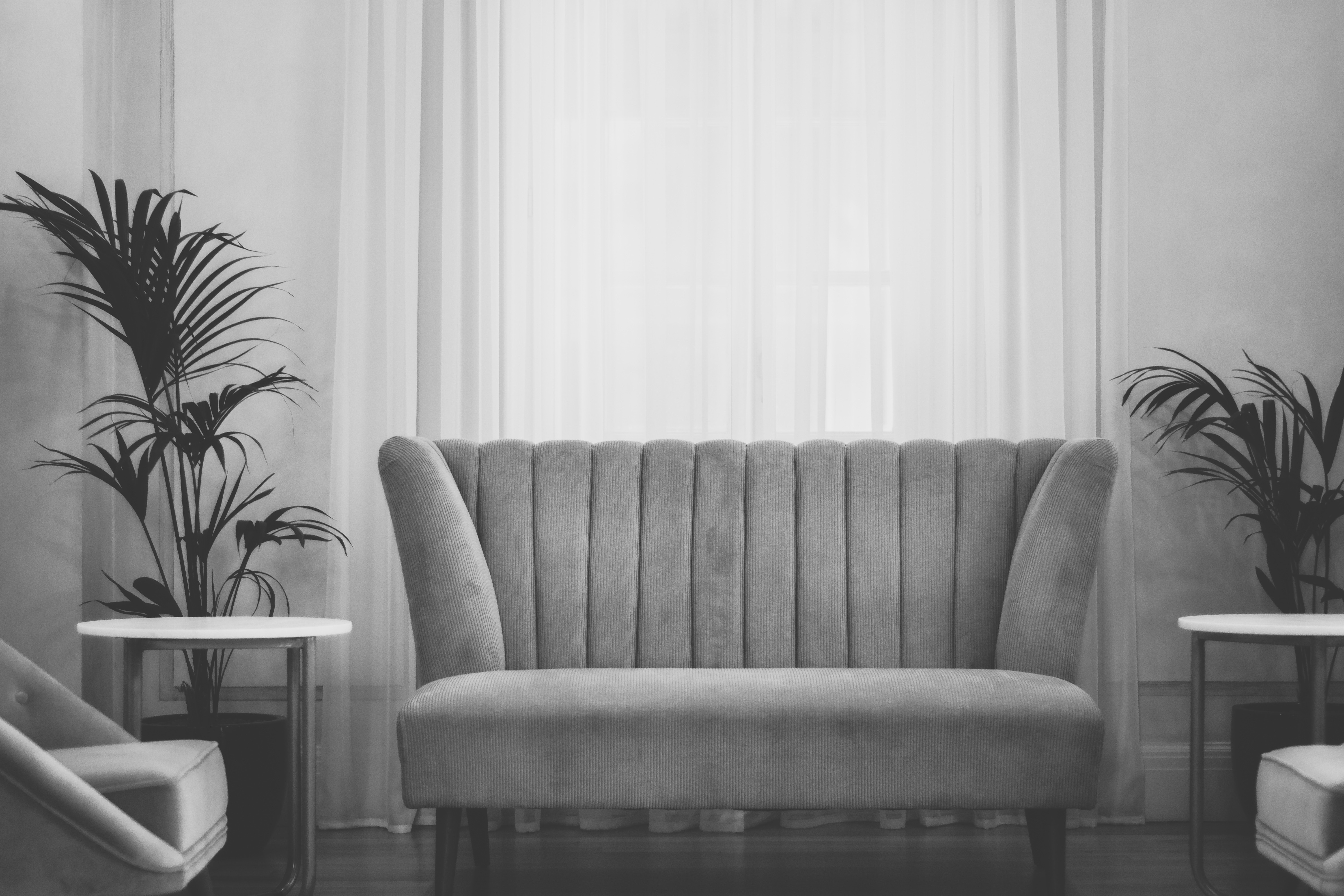 Couch angelo pantazis 237143 unsplash - Treatment – We need to know NOW.