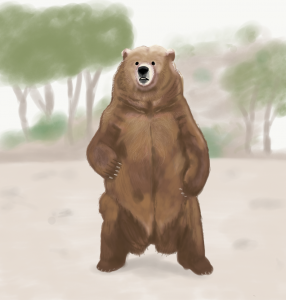 Grizzly bear  286x300 - Grizzly bear
