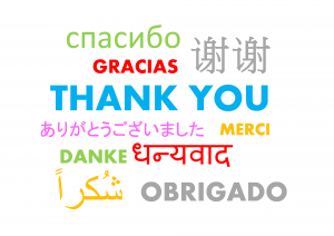 Shapeshifter and Thank you thank you 490607 1920 300x212 - Shapeshifter and Thank you