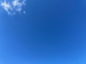 Alive and Kicking BlueSkyJKHFeb21 300x225 - Alive and Kicking